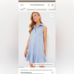 Tuckernuck Sleeveless Blue Button-Up Top
